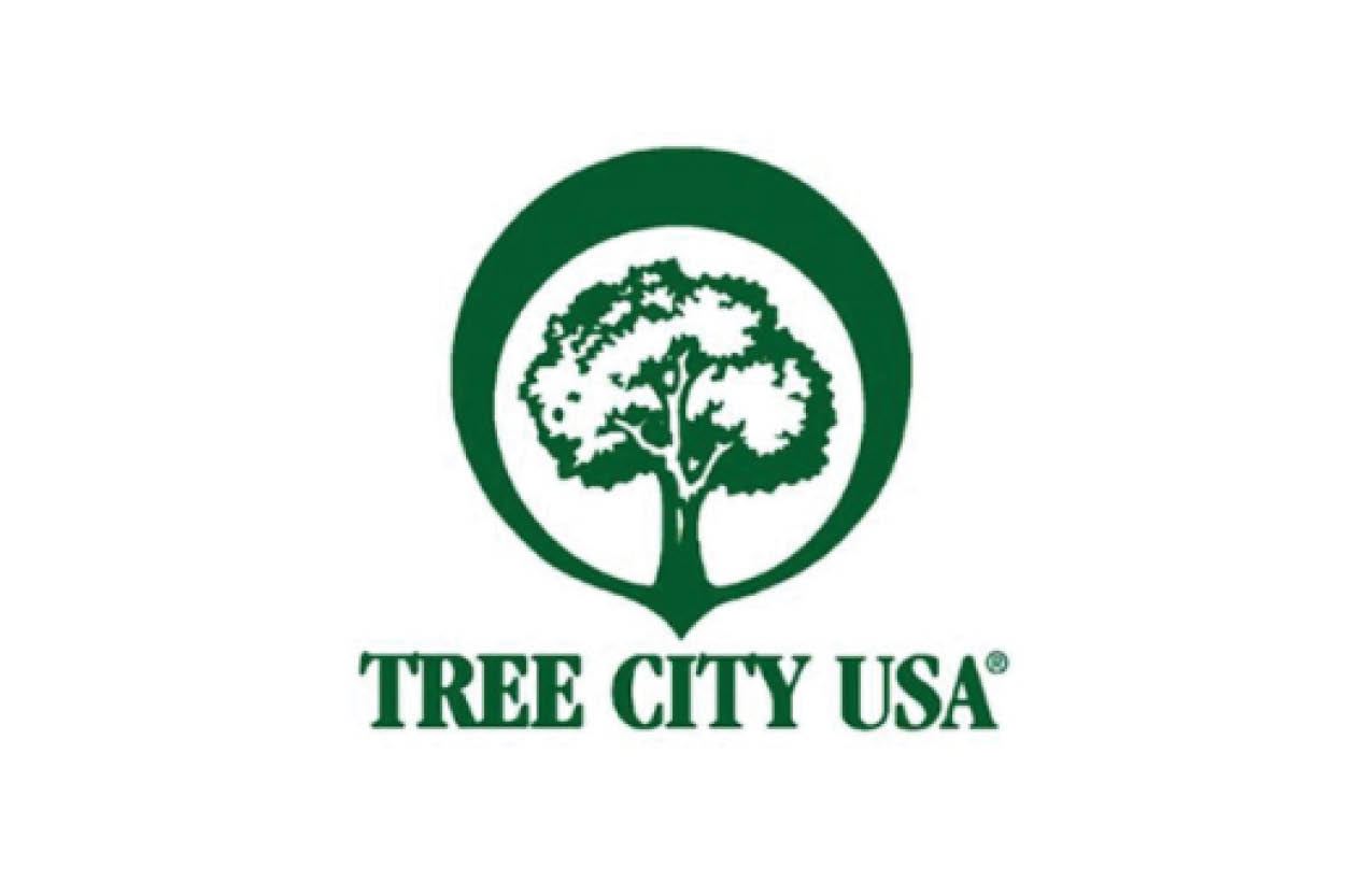 treecityUSA