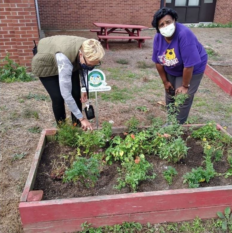 bres ms bevel planting butterfly bush