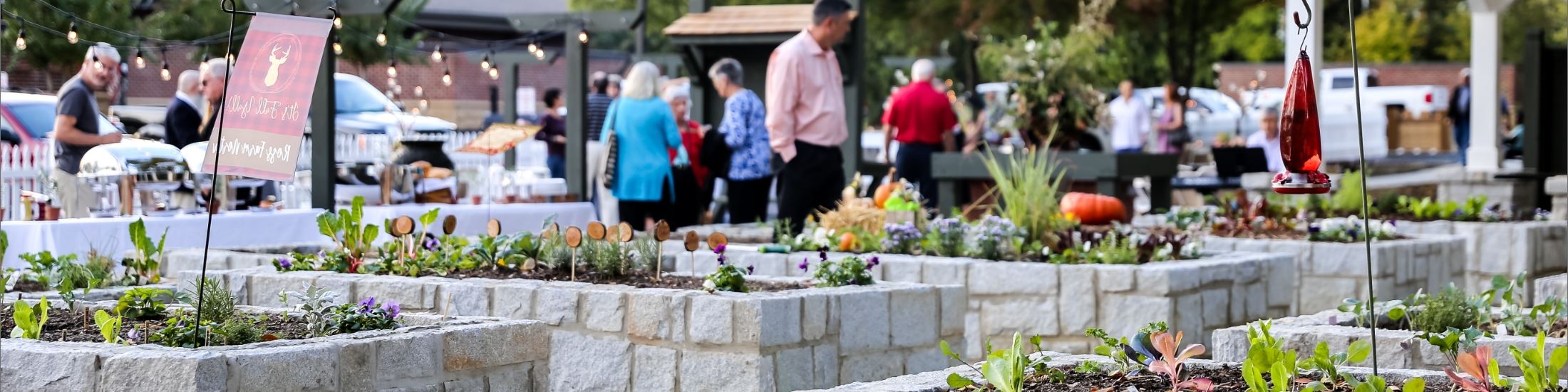 Discovery Garden Park